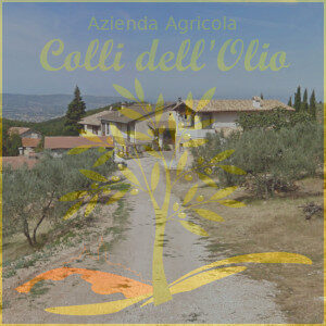 Azienda-Agricola-Tabarrini-landscape